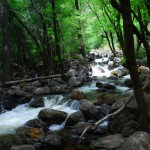 The Yosemite Valley is perfect for auto-touring - attractions are very visible or just a short hike off the road.