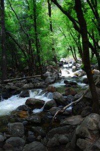 The Yosemite Valley is perfect for auto-touring - attractions are very visible or just a short hike off the road.