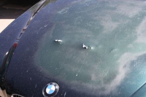 This BMW's hood was damaged by an exploding cooling fan.  Photo from racerx8413 at bimmerfest forums.