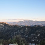 Trees begin to overtake the desert landscape as you climb up the mountain