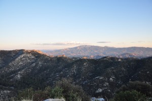 Trees begin to overtake the desert landscape as you climb up the mountain